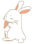 とむふらい