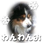 かぐや