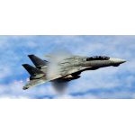 F-14D S.TOMCAT