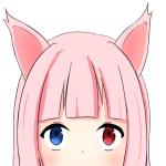 おうどぅん