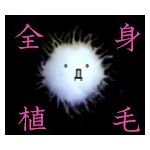 全身植毛