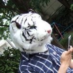 猫の人(全滅)