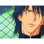 カメリア・シネンシス中田