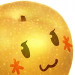 なし