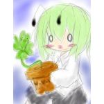 ぷっち