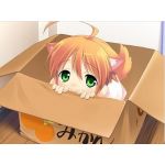 つっさん