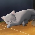 古猫