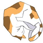 おせる
