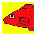 オオミヤノフ涼子
