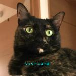 userPhoto