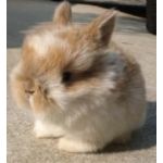 え～た