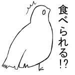 はと