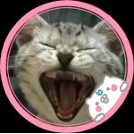 userPhoto