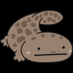 サンショウウオ