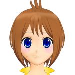 ほうえ征夷大将軍