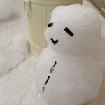 ぜん