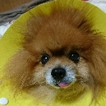 まつたかちゃん