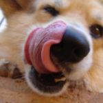 ミッスン