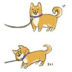 シェルド