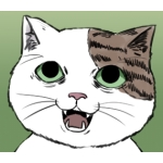 猫頭巾