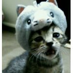 userPhoto