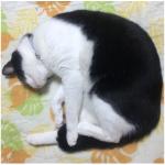 ユーザー画像