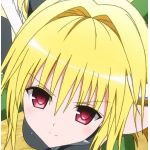 Lily