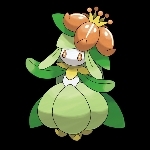 秋花紫苑