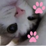 ぐり