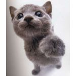 ねこぞう