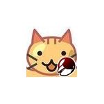 かずぽん