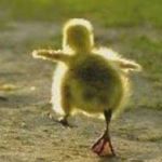 ぎゃお