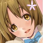 まるなんとかさん