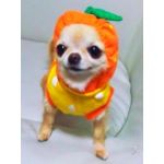 mocchan