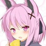 ヒノカエデ