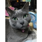 うきわ