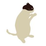 ほし