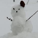 うきくさ
