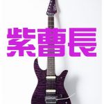 紫曹長