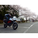 へび