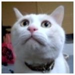 あきら