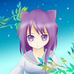 たおにゃん