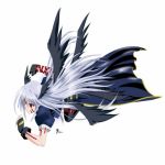 リインフォース