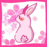 アンジーきりしま