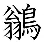 鶲 崇白