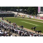 幸せの黄色い〇〇〇