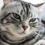 ショウタンヾ(･◡･*stn)