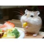 レヌ