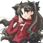 のーなめす