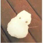 すしお